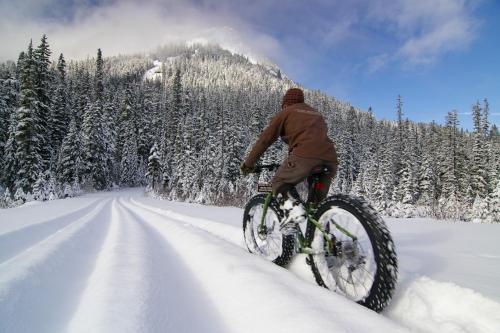 youdidwhatnow:  Fat-Bike. Clap it up!