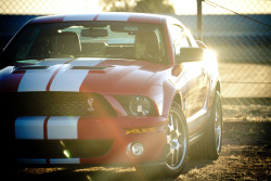 automotivated:  (via 500px / Photo “Shelby Cobra” by Mark Brooks)