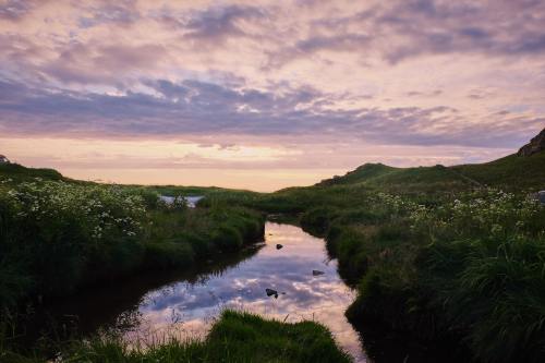 expressions-of-nature:Andenes, Norway by Jessica Pamp