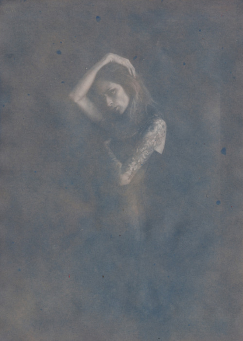 noisenest:  of the earth she loves so dearly ( I ) // theresa manchester // cyanotypes - different toning methods, different toners - all done by brush, dipping, spray, etc 