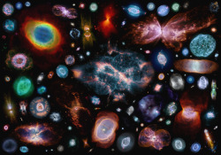 distant-traveller:  100 planetary nebulae  From the photographer: Inspired by insect illustration posters, this is a large collage of planetary nebulas I put together bit by bit as I processed them. All are presented north up and at apparent size relative