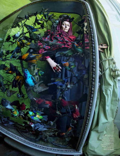 Tilda Swinton by Tim Walker - paying homage to Edith Sitwell in her family house, Renishaw Hall 