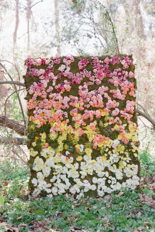 Obsessing Over: Flower Walls