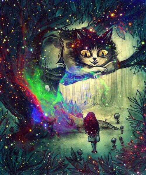 andrek0224:  Dreams of all, belive in everything 
