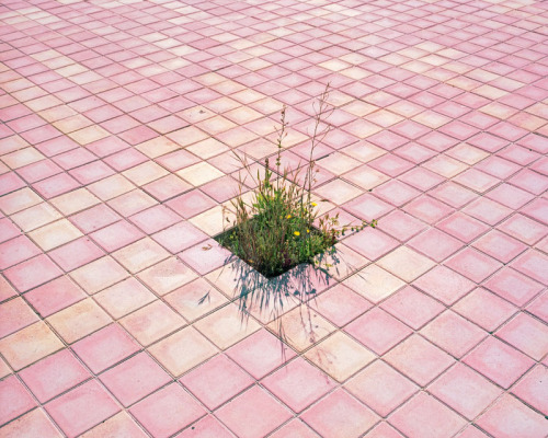 likeafieldmouse:  Hin Chua - After the Fall (2009) Artist’s statement: “For me, these images explore the unpredictable, often disturbing results of the collisions that are gradually and chaotically reshaping the spaces around us. These silent