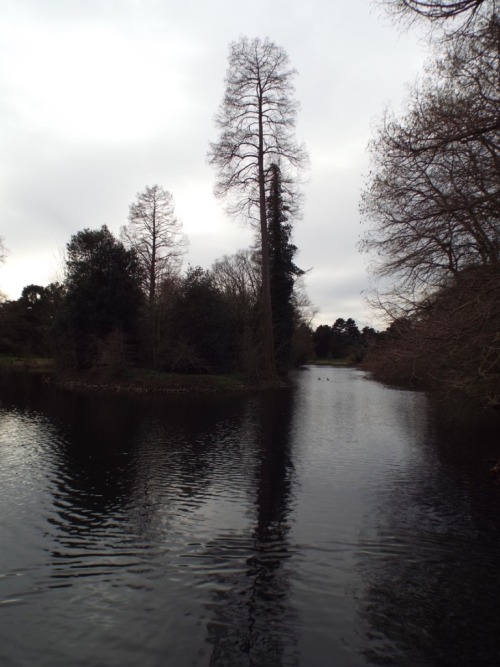 Research - Trip to Kew Gardens, looking for inspiration for the menagerie and glass domes in which L