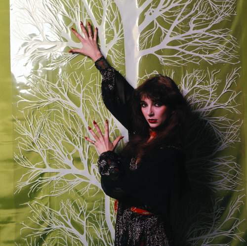 blueblackdream:Peter Mazel, Kate Bush, ca. 1978