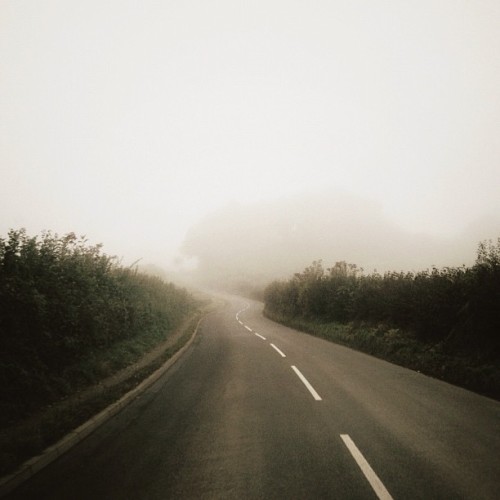 foxmouth:  Instagram, 2014 | by Finn Beales + @finn on Instagram