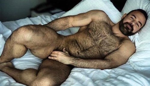 thebearunderground:The Bear Underground - Best in Hairy Men (since 2010)🐻💦 Over 49k followers and  64k+ posts in the archive 💦🐻 