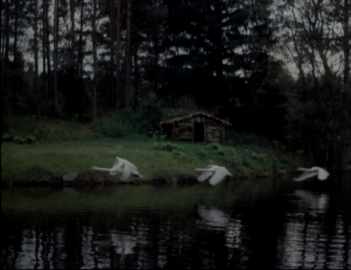 The Wild Swans, 1987, Helle Karis