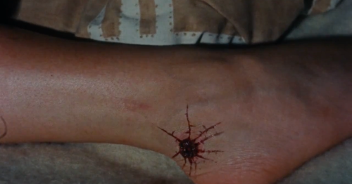The Evil Dead (1981)