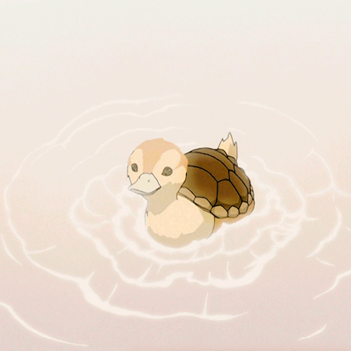 Do You Like Turtle Ducks