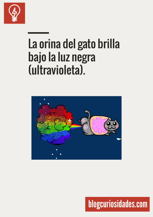 corderito:  Que te parece……