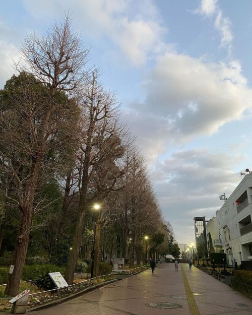 #originalphotographer #amateur #nature #winter2021 #park #sky #photographer on Instagram (滝野川体育館) ht