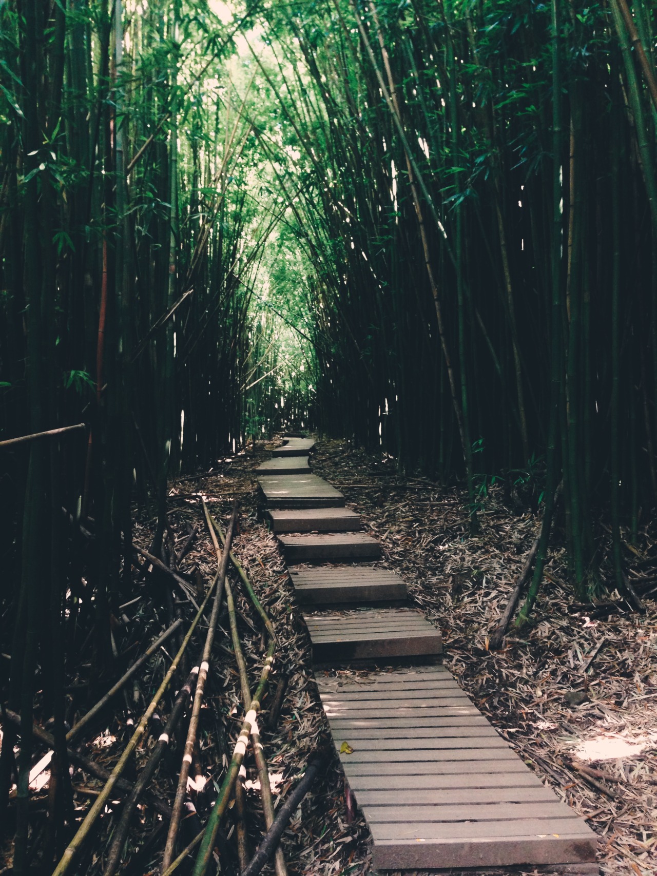 may-u-mi:  The Road to (and from) Hana, Maui. Hawaii, July 2014.
