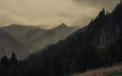 90377:  Fog in the Alps by Jerdess  