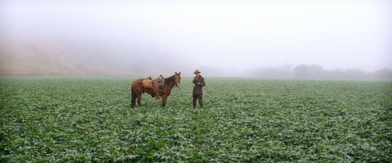 madeofcelluloid:  ‘There Will Be Blood’, Paul Thomas Anderson (2007)Did you think