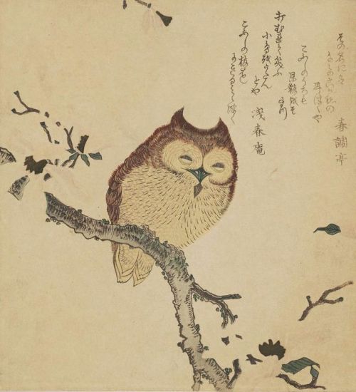 heartbeat-of-leafy-limbs:KUBO SHUNMAN Horned Owl on Flowering Branch [19th century]