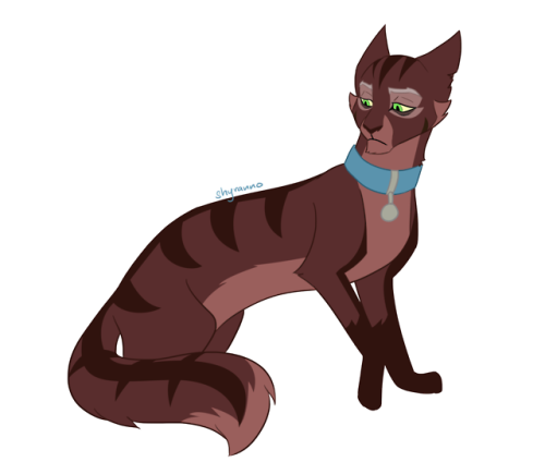 Shyranno's Art — 100 Warrior Cats Challenge 001 - Firestar Woo! 100