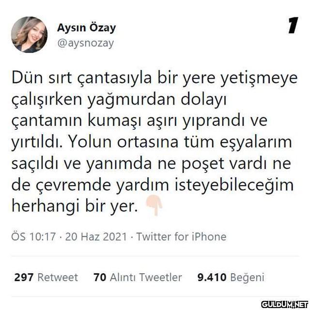 (Kaydırmalı)  1 Aysın Özay...