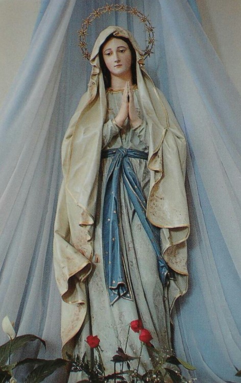 allaboutmary:A statue of Mary at the shrine of Medjugorje, Bosnia and Herzegovina.