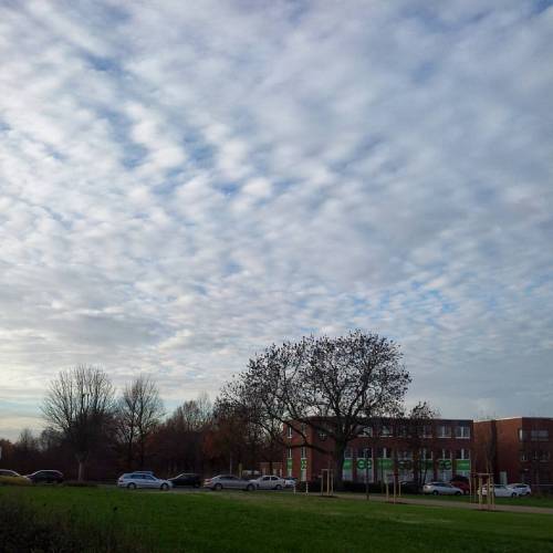 The Fluffy #clouds And My Favourite #tree Next To My Workplace In #Technologiepark #Dortmund (hier: Technologiepark