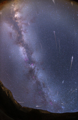 the-wolf-and-moon:  Perseid Shower