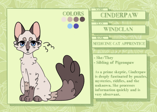 eventhorizonwc: CINDERPAW ; SHE/THEYWINDCLAN MEDICINE CAT APPRENTICE. Keep reading