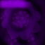 lavenderxpastel