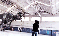  primeval meme: [4/7] creatures » GIGANTOSAURUS 