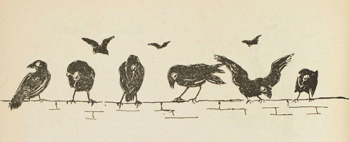 danskjavlarna: From Zritel’, 1905. Here are the vintage crows, ravens, and blackbirds we&rsquo