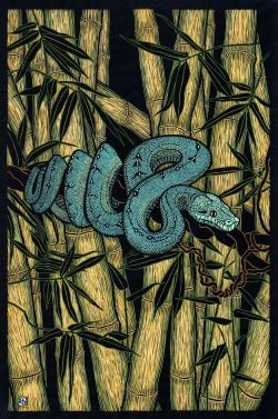 the-cinder-fields:  Rachel Newling, Green