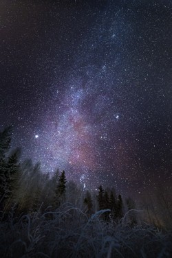 accio-forest:Night Sky by Sami Multasuo