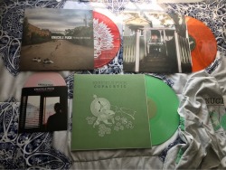 vinylpunkpop: Yes. I love knuckle puck