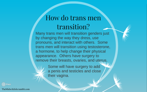 themidwifeisin: Some information for becoming pregnant after using testosterone (T) for transitioni