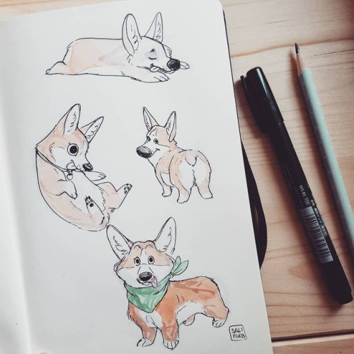 Have some corgis!  Btw l used Comic markers, a Sakura gel pen and watercolors, the tools here are ju