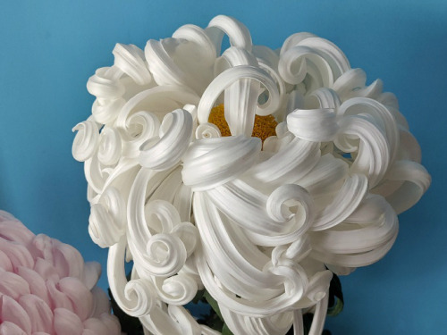 changan-moon:Chinese chrysanthemum，瑞云殿/ rui-yun-dian, literally means auspicious cloud palace. Photo