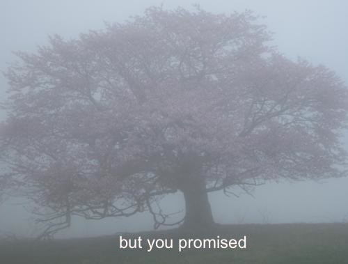 ughthis:  ☪☹ALL PALE+PRETTY+FOGGY HERE☹☪  
