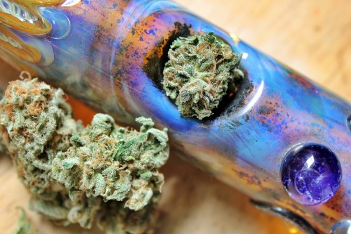 vanth:  Mmm steam rollin’ (;here is the weed! 