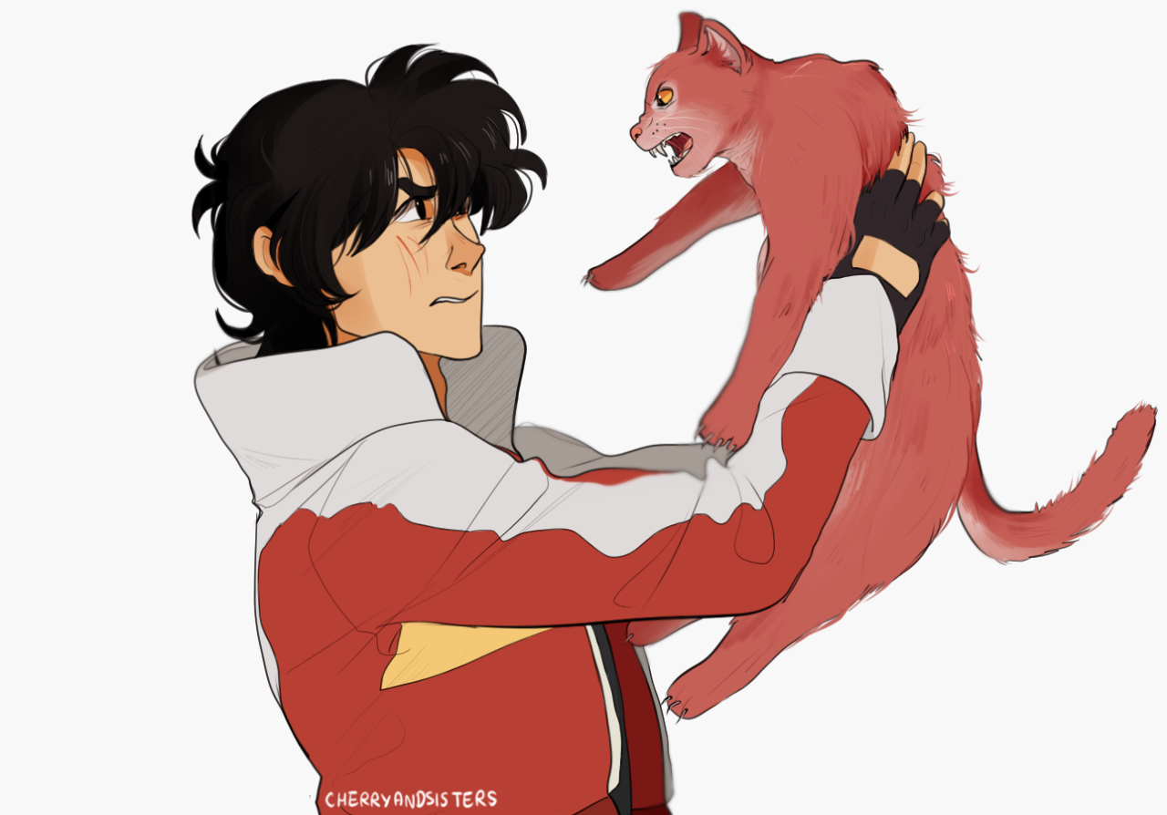 cherryandsisters:  “stay tf away from me” to “touch this human and i will