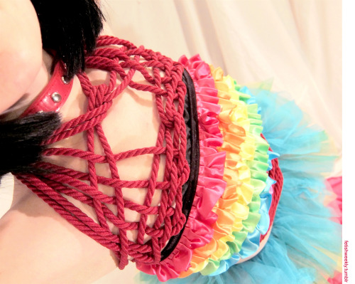 fetishweekly: Model: Hazel Maybrook Rainbow Shibari! ╰(*´︶`*)╯I hope everybody had a super