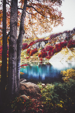 elenamorelli:  { autumn rainbow }