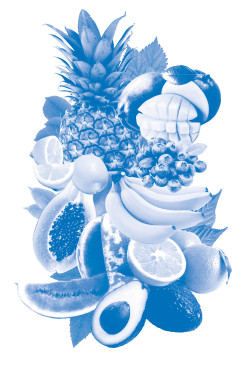 charidesign:  monochromatic fruit mix collage,