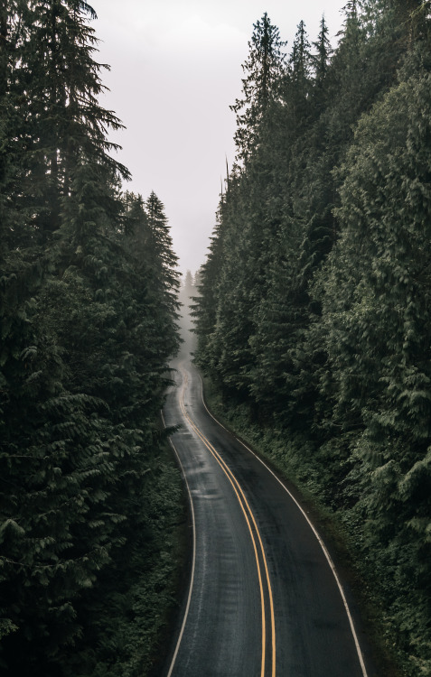 jscuttish:Following Dreams To Wherever They Lead.by Jason ScottishIG: jscottish