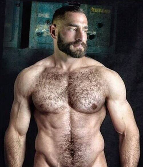 oofahpapa:  manlymuscle:  Bearded, hairy, inked, GOD   http://oofahpapa.tumblr.com/archive