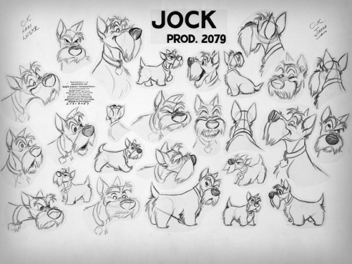Model sheets for Lady And The Tramp 