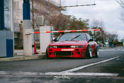 stancenation:  Timeless Beauty.