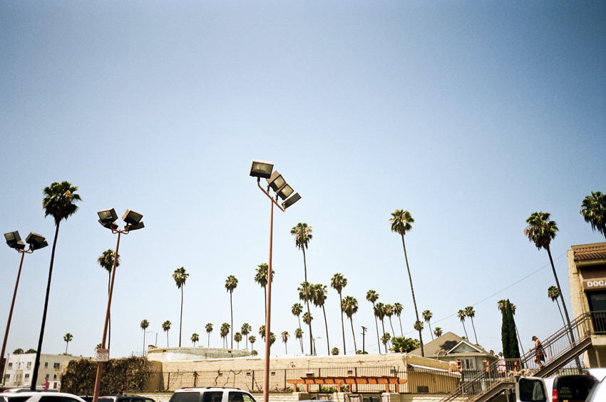 vivian-fu:  Snapshots from LA I’ve been visiting LA once a month for the past three