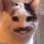 socklops