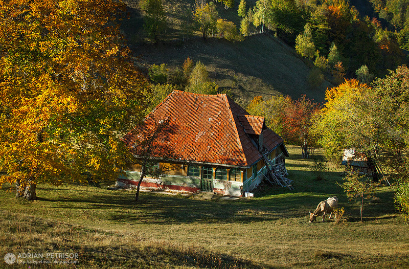 bookofoctober:  October in the Romanian village of Măgura. Photos by Adrian Petrisor